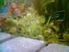 20060823145829-HPIM0013.jpg