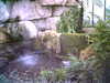 20060823150952-HPIM0021.jpg