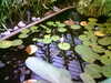 20060823151407-HPIM0023.jpg