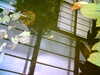 20060823151418-HPIM0024.jpg
