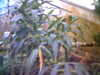 20060823151510-HPIM0025.jpg