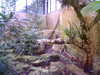 20060823151529-HPIM0026.jpg