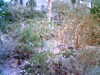 20060823151725-HPIM0028.jpg