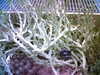 20060823151813-HPIM0029.jpg