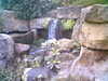 20060823152058-HPIM0031.jpg