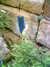 20060823152348-HPIM0035.jpg