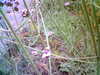 20060823152900-HPIM0037.jpg