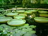 20060823153756-HPIM0042.jpg