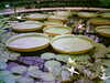 20060823154100-HPIM0046.jpg