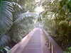 20060823154245-HPIM0047.jpg
