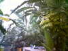 20060823154344-HPIM0048.jpg