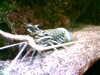 20060823154803-HPIM0049.jpg
