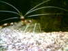 20060823154815-HPIM0050.jpg