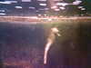 20060823155020-HPIM0052.jpg