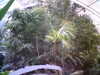 20060823155404-HPIM0054.jpg