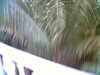 20060823155522-HPIM0057.jpg
