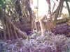 20060823155839-HPIM0063.jpg