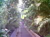 20060823155949-HPIM0064.jpg