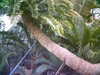 20060823160059-HPIM0066.jpg