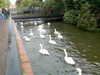 2006-10-21:Salisbury
