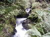 20061023123850-PICT4714.JPG