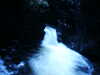 20061023131533-PICT4718.JPG