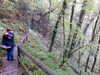 Image001.jpg
