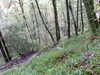 Image002.jpg