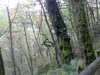 Image003.jpg