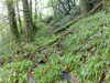Image004.jpg
