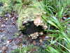 Image005.jpg