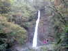 Image009.jpg