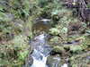 Image012.jpg