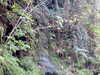 Image013.jpg