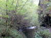 Image015.jpg