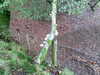 Image060.jpg