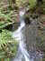 Image063.jpg