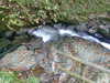 Image067.jpg