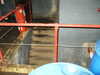 20061105100550-PICT4778.JPG