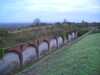 20061125100653-CIMG0126.JPG
