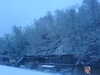 2007-01-24:Elmstead Woods Snow
