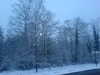 20070124080345-DSC00044.JPG
