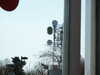 20070326125053-PICT4912.JPG