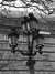 Mvc-154f.jpg