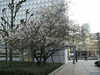20070327161328-PICT5024.JPG