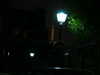 20070327222108-PICT5060.JPG