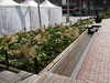 20070406134419-PICT5171.JPG
