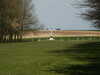20070407114551-PICT5218.JPG