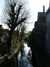 20070408161318-PICT5254.JPG