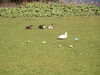20070409091722-PICT5267.JPG